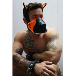 Breedwell Masque Poundtown Pup Breedwell Noir-Orange
